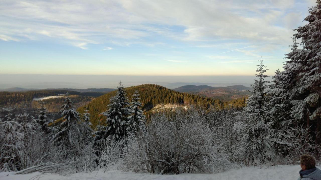 Apartament Luxus-Fewo-Kleine-Auszeit-Kinder-U-Hundefreundlich Goslar Zewnętrze zdjęcie